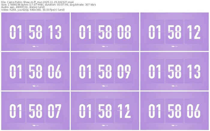 cams-ff_mur-11-15-2025-00-23-27