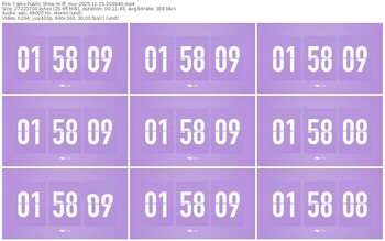 cams-ff_mur-11-15-2025-00-36-40