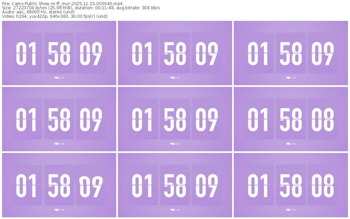 cams-ff_mur-11-15-2025-00-36-40