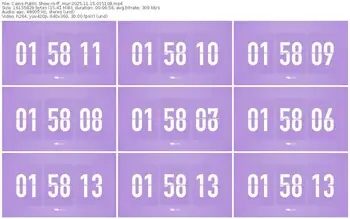 cams-ff_mur-11-15-2025-01-51-08