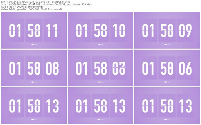 cams-ff_mur-11-15-2025-01-51-08