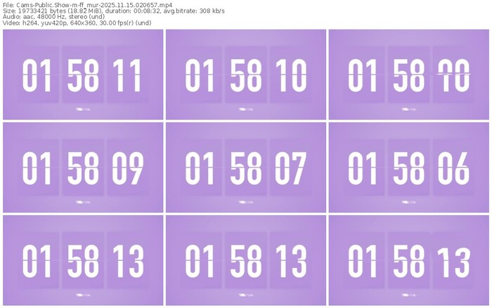 cams-ff_mur-11-15-2025-02-06-57