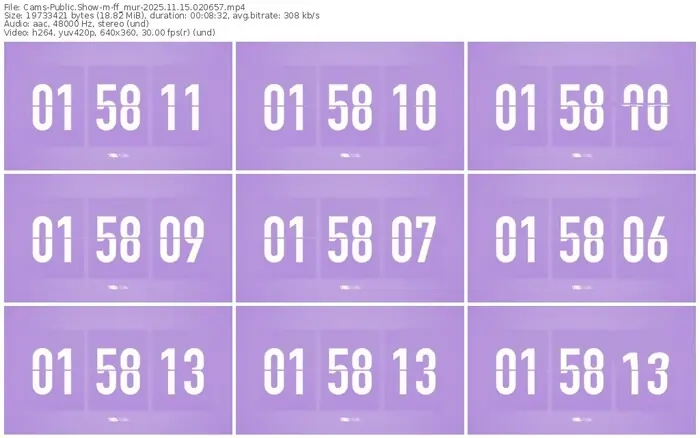 cams-ff_mur-11-15-2025-02-06-57