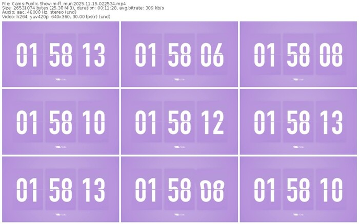 cams-ff_mur-11-15-2025-02-25-34