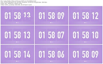 cams-ff_mur-11-15-2025-02-38-12