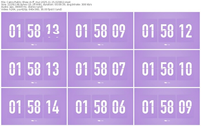cams-ff_mur-11-15-2025-02-38-12
