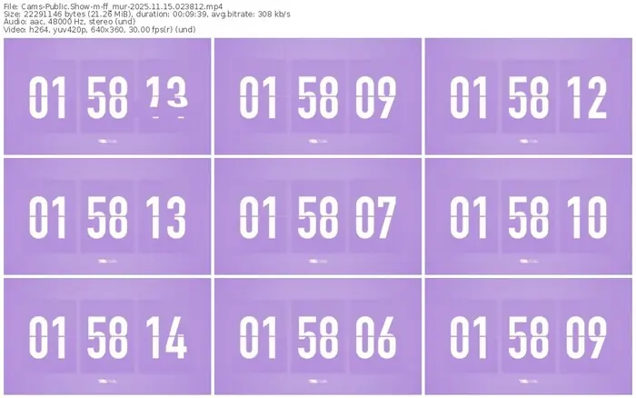 cams-ff_mur-11-15-2025-02-38-12