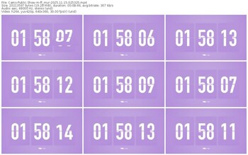 cams-ff_mur-11-15-2025-02-53-25