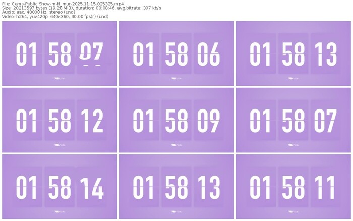 cams-ff_mur-11-15-2025-02-53-25