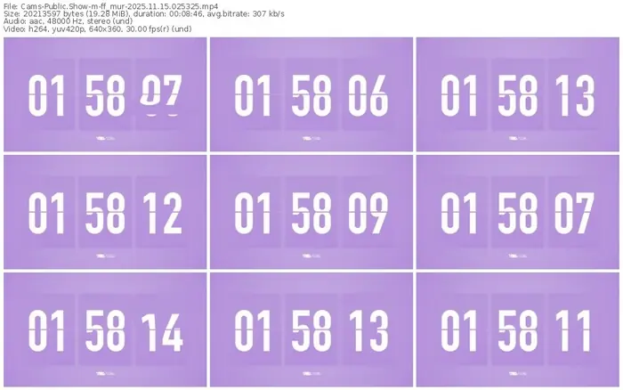 cams-ff_mur-11-15-2025-02-53-25