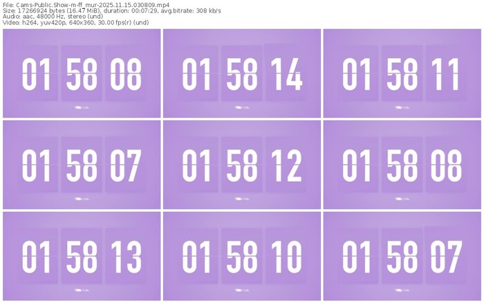 cams-ff_mur-11-15-2025-03-08-09