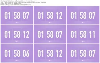 cams-ff_mur-11-15-2025-03-19-59