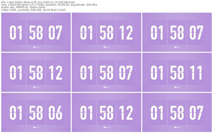 cams-ff_mur-11-15-2025-03-19-59