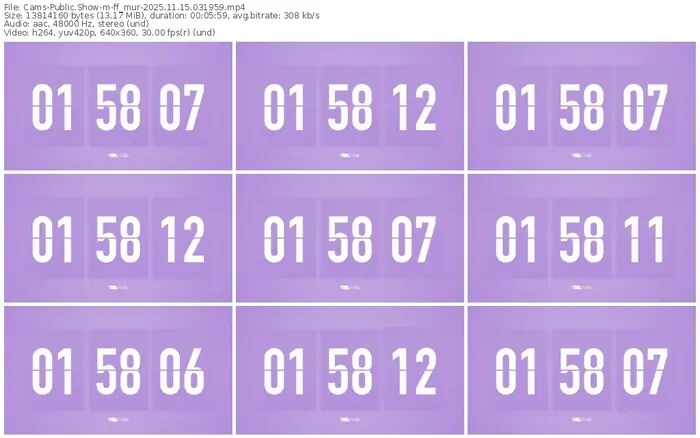 cams-ff_mur-11-15-2025-03-19-59