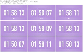 cams-ff_mur-11-15-2025-03-26-02