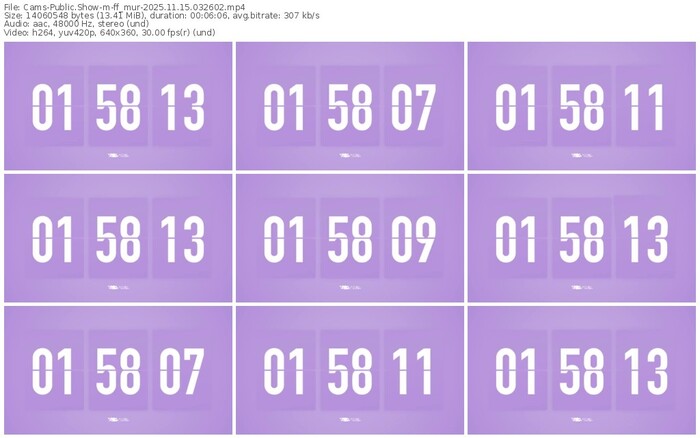 cams-ff_mur-11-15-2025-03-26-02