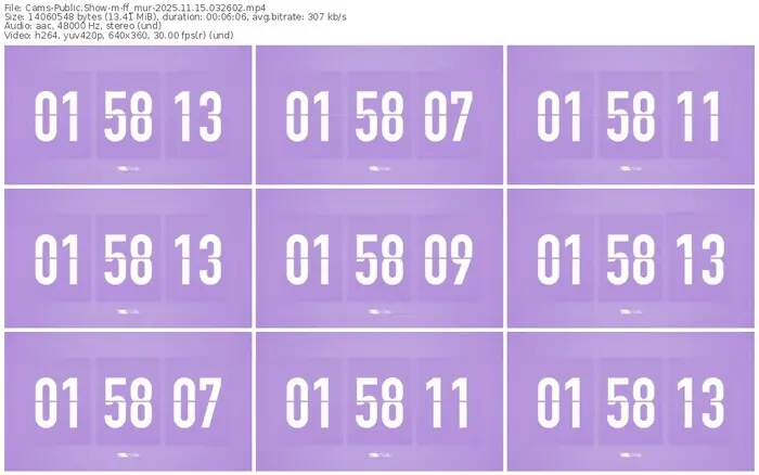 cams-ff_mur-11-15-2025-03-26-02