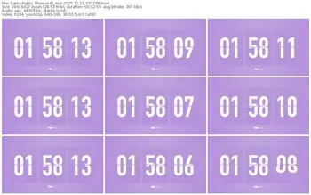 cams-ff_mur-11-15-2025-03-32-38