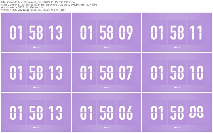 cams-ff_mur-11-15-2025-03-32-38