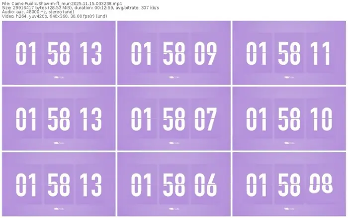 cams-ff_mur-11-15-2025-03-32-38