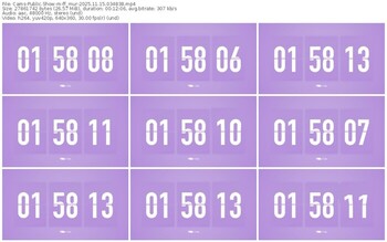 cams-ff_mur-11-15-2025-03-48-38