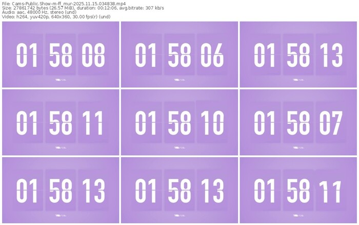 cams-ff_mur-11-15-2025-03-48-38