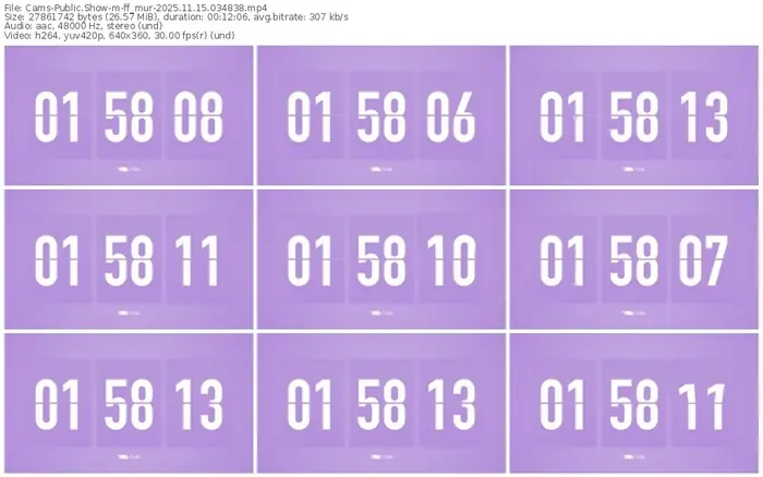 cams-ff_mur-11-15-2025-03-48-38