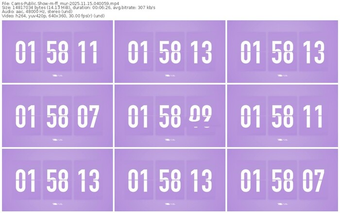 cams-ff_mur-11-15-2025-04-00-59