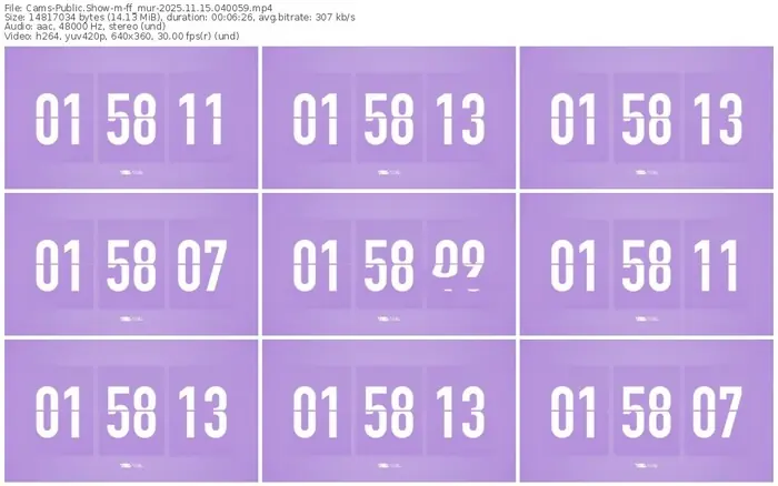 cams-ff_mur-11-15-2025-04-00-59