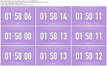 cams-ff_mur-11-15-2025-04-07-48