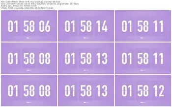 cams-ff_mur-11-15-2025-04-07-48