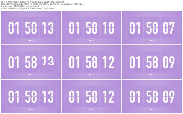 cams-ff_mur-11-15-2025-04-21-52