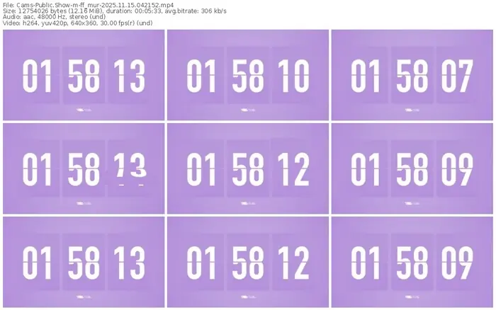 cams-ff_mur-11-15-2025-04-21-52