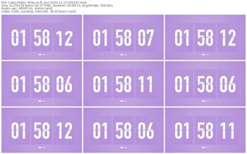 cams-ff_mur-11-15-2025-05-03-27