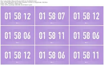 cams-ff_mur-11-15-2025-05-03-27