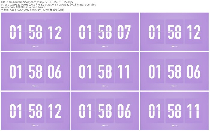 cams-ff_mur-11-15-2025-05-03-27