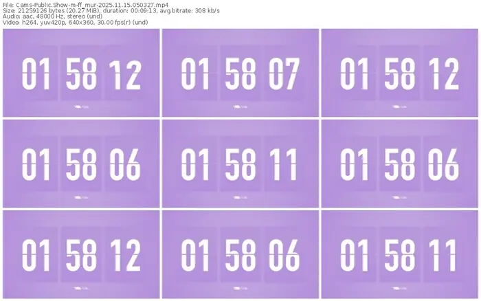 cams-ff_mur-11-15-2025-05-03-27