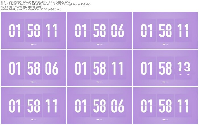 cams-ff_mur-11-15-2025-05-40-25
