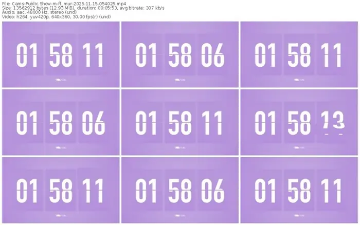 cams-ff_mur-11-15-2025-05-40-25