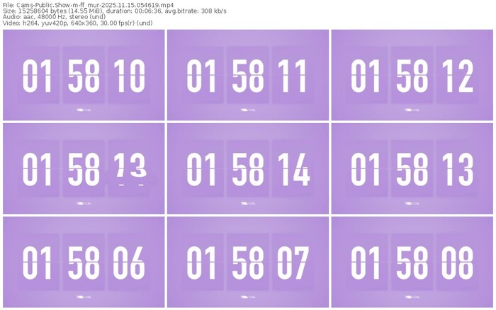 cams-ff_mur-11-15-2025-05-46-19