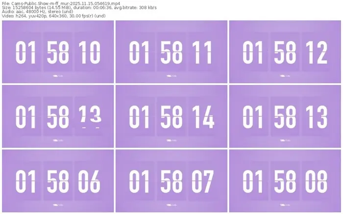 cams-ff_mur-11-15-2025-05-46-19
