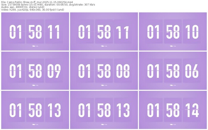 cams-ff_mur-11-15-2025-06-02-54