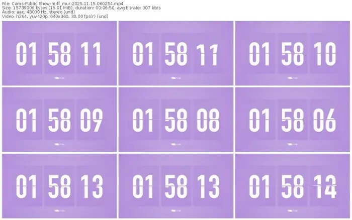 cams-ff_mur-11-15-2025-06-02-54