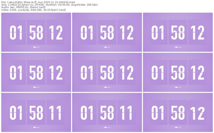 cams-ff_mur-11-15-2025-06-44-32