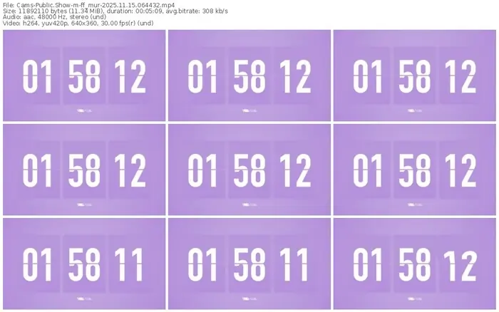 cams-ff_mur-11-15-2025-06-44-32