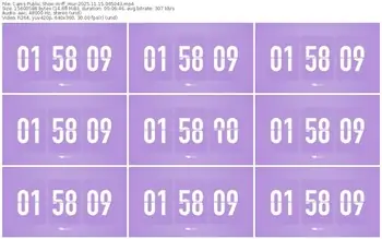 cams-ff_mur-11-15-2025-06-50-43