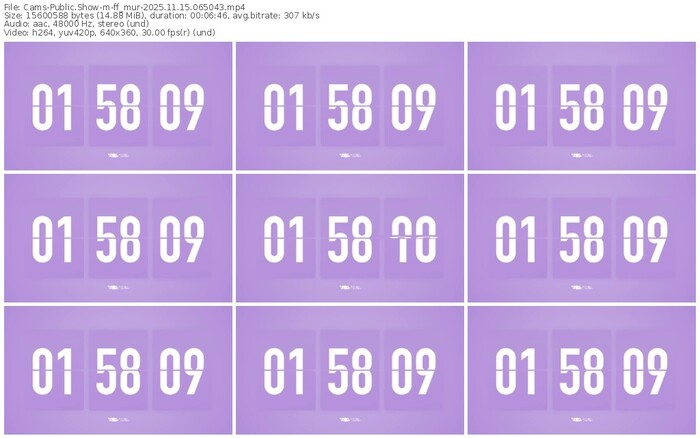 cams-ff_mur-11-15-2025-06-50-43