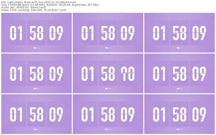 cams-ff_mur-11-15-2025-06-50-43