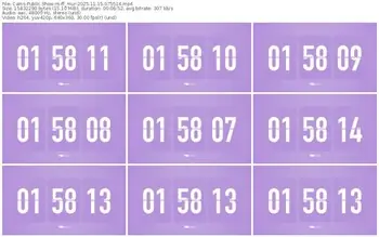 cams-ff_mur-11-15-2025-07-55-14