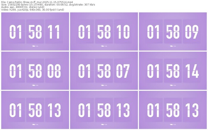 cams-ff_mur-11-15-2025-07-55-14